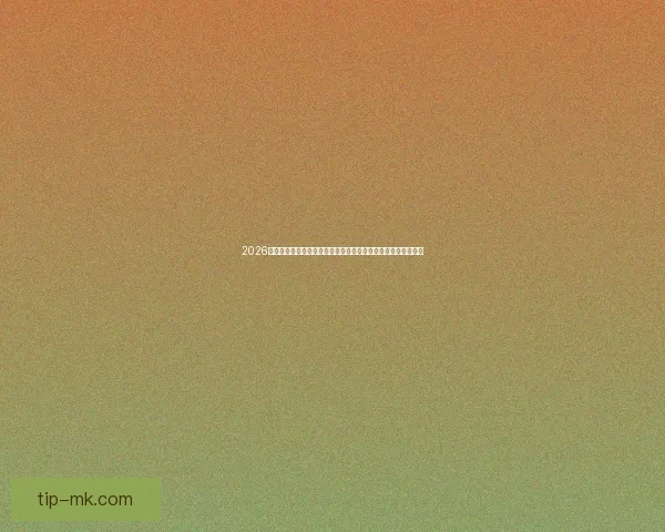 2026年世界杯参赛队伍全解析：新兴强队崛起与老牌劲旅的竞争格局