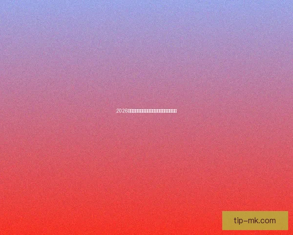 2026国际足联世界杯盛况回顾与全球足球热潮解析